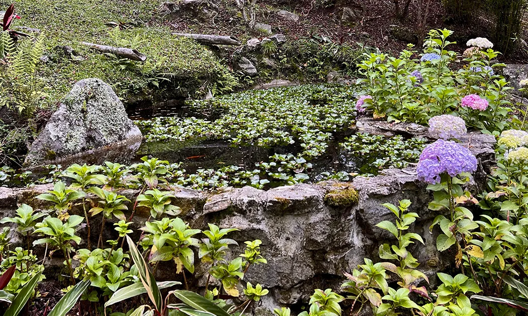 iscalama glamping aqua