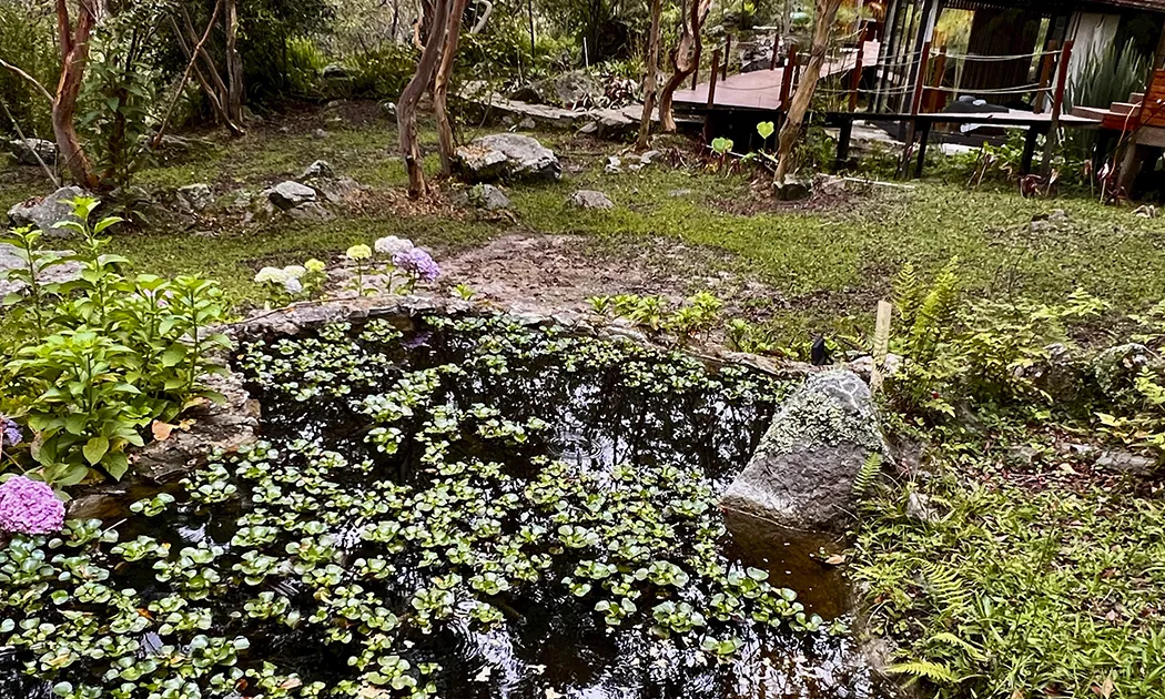 iscalama glamping aqua